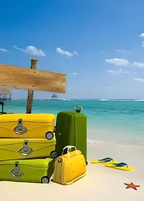 luggage on the beach