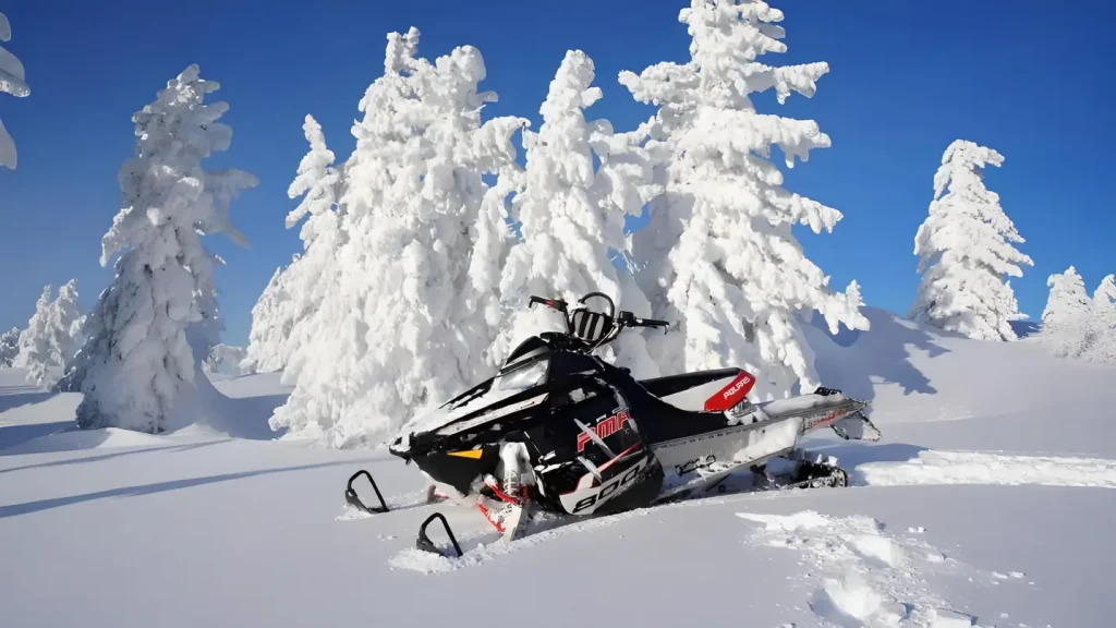 Travel insurance for Snowmobiling